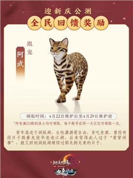 天龙八部私服的原型